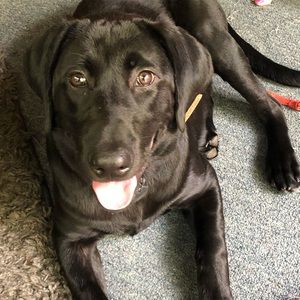 Meet your Posher, Michael